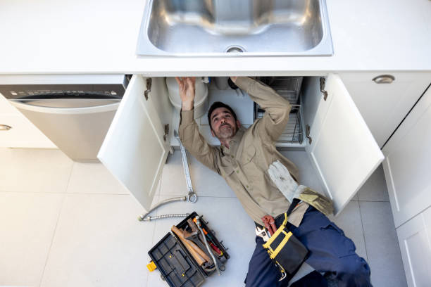 Best Plumbing Inspection Services  in King Cove, AK
