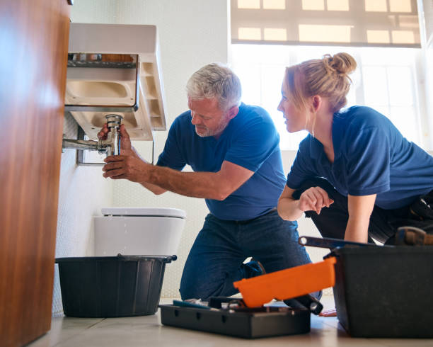 Best Sprinkler Systems  in King Cove, AK